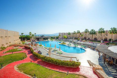 IVY CYRENE SHARM (ADULTS ONLY 13+)
