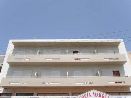 STELLA PARADISE
